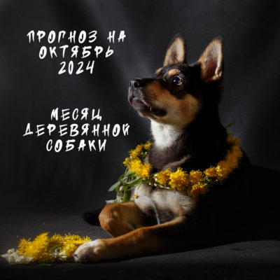 прогноз на октябрь